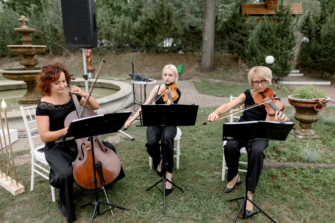 Организация свадьбы Мозырь Калинковичи в кафе Лукоморье фото 16